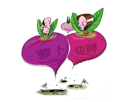 萝卜招聘官方版游戏下载，萝卜招聘安卓游戏下载