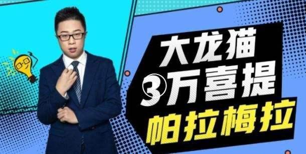 dnf大龙猫个人信息_dnf个人信息
