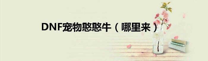 dnf憨憨牛_2023dnf憨憨牛
