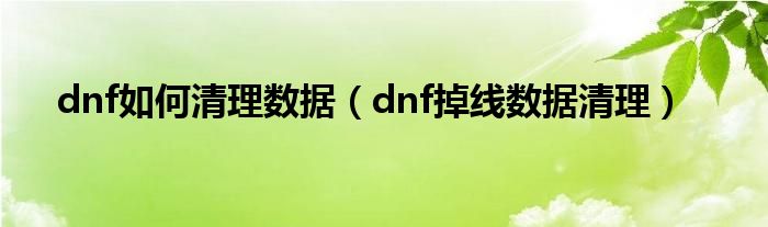 dnf掉线数据清理_DNF掉线清理数据